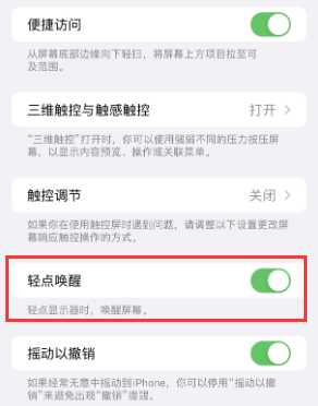 武邑苹果授权维修站分享iPhone轻点无法唤醒怎么办 