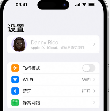 武邑appleID维修服务iPhone设置中Apple ID显示为灰色无法使用 