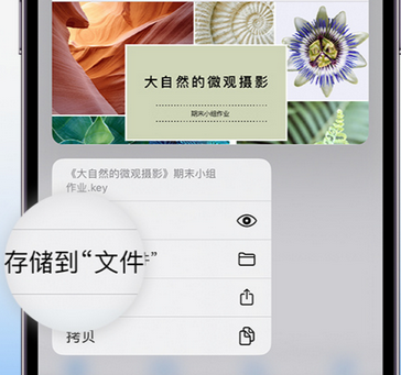 武邑apple维修中心分享iPhone文件应用中存储和找到下载文件