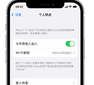 武邑apple服务站点分享iPhone上个人热点丢失了怎么办 