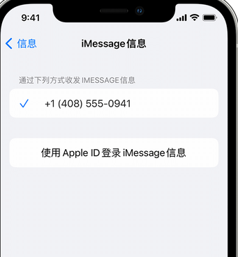 武邑apple维修iPhone上无法正常发送iMessage信息 