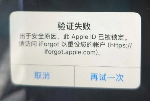 武邑iPhone维修分享iPhone上正常登录或使用AppleID怎么办 