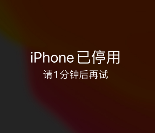 武邑苹果手机维修分享:iPhone 显示“不可用”或“已停用”怎么办？还能保留数据吗？ 