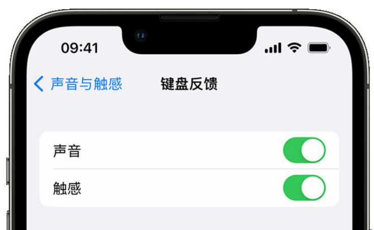 武邑苹果手机维修分享iPhone 14触感键盘使用方法 