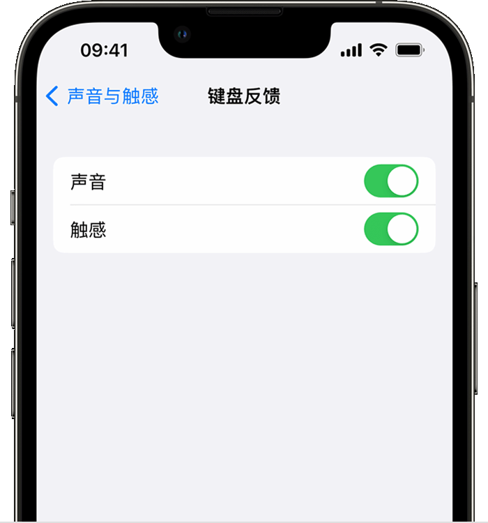 武邑苹果14维修店分享如何在 iPhone 14 机型中使用触感键盘 