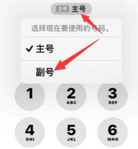 武邑苹果14维修店分享iPhone 14 Pro Max使用副卡打电话的方法 