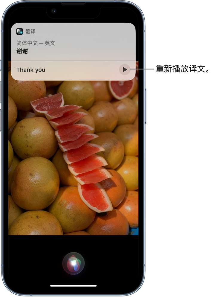 武邑苹果14维修分享 iPhone 14 机型中使用 Siri：了解 Siri 能帮你做什么 