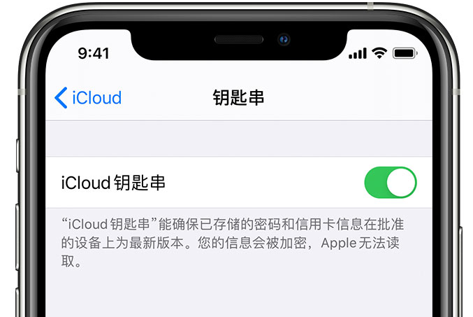 武邑苹果手机维修分享在 iPhone 上开启 iCloud 钥匙串之后会储存哪些信息 