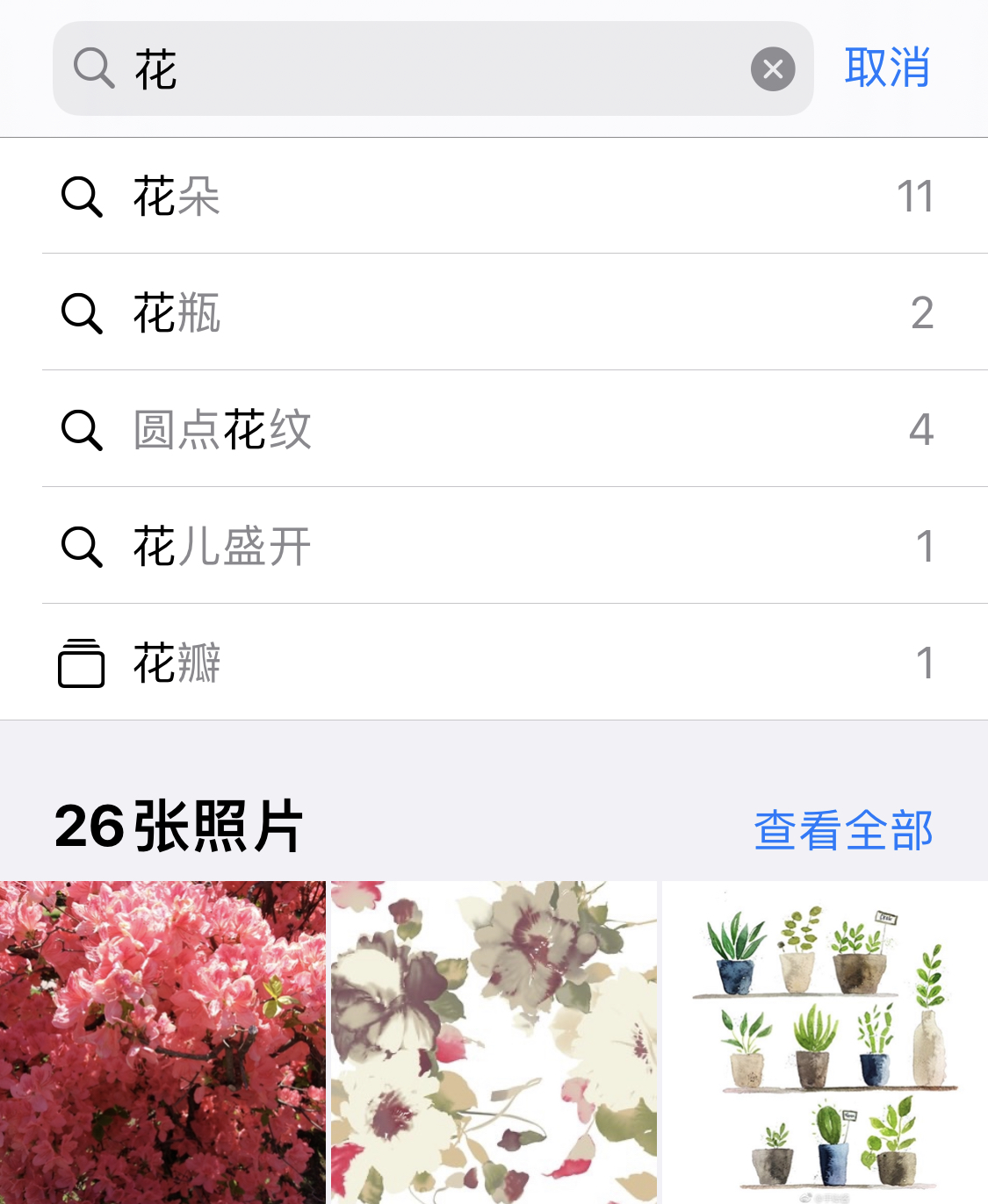 武邑苹果手机维修分享iPhone 小技巧 