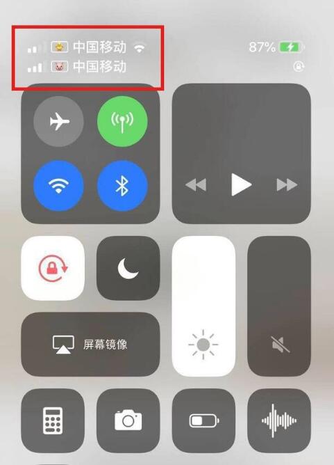 武邑苹果手机维修分享为 iPhone 12 双卡设置标签 