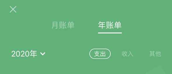 武邑苹果手机维修分享如何在 iPhone 上查看支付宝和微信年支出账单 